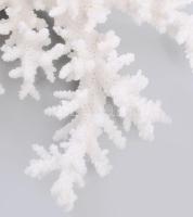 Fehér korall, 26x23 cm