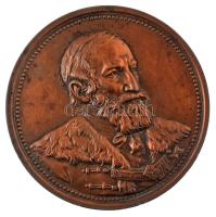 Lóránfi Antal (1856-1927) 1885. "1875-1885 - A Szabadelvű Párt Tisza Kálmán tíz évi miniszterelnöksége emlékeül" kétoldalas, vert, bronz emlékérem (70mm) T:XF, ph., patina HP 3395.