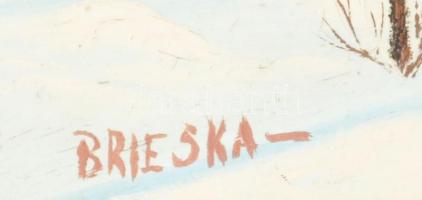 Brieska jelzéssel: Téli táj. Olaj, farost, fakeretben, 30×40 cm
