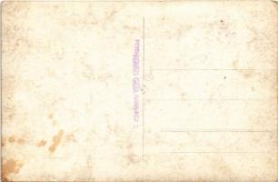 Székesfehérvár, Székesfehérvár és Vidéke Ipartestület, Kocsigyártó Ipari Szakosztálya 1947. zászló. ...