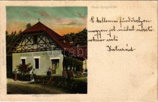 1902 Parádfürdő, Parád, Parád-gyógyfürdő; Hidegvíz gyógyintézet. Kiadja Klein Mór 614. (fl)