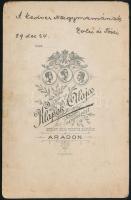 1889 Gyerekek (testvérek), kabinetfotó Klapok Alajos aradi műterméből, a hátoldalon dedikációval, 17...