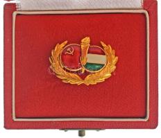 1970 k. "Magyar-Szovjet Baráti Társaság" aranyozott műgyantás kitüntető jelvény eredeti tokban T:UNC
