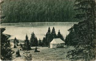 Tusnádfürdő, Baile Tusnad (Csík megye); Szt. Anna tó / Lacul Sft. Ana, lake, forest. Adler (fl)