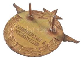 Balesetmentes közlekedésért réz jelvény, felszerelhető, 8×10 cm