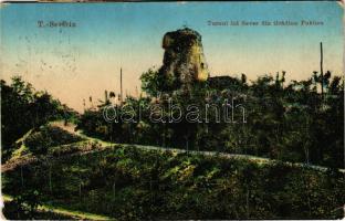 1917 Turnu Severin, Szörényvár; Turnul lui Sever din Gradina Publica / park with tower ruins (b)