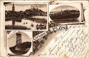 1893 Plön; Schwanensee, Aussichtsthurm / lake, look-out tower, general view. Art Nouveau, floral litho (pinhole)