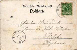 1893 Plön; Schwanensee, Aussichtsthurm / lake, look-out tower, general view. Art Nouveau, floral lit...