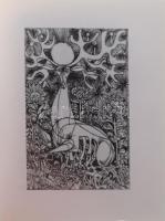 Kass. Kass János grafikái. Szeged, 1992. MTESZ Szegedi Nyomda Minikönyv Klub. Kiadói bársonykötés, j...