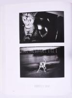 Lust und Last. Leipziger Kunst seit 1945. (Kiállítási katalógus.) Szerk.: Herwig Guratzsch, G. Ulric...