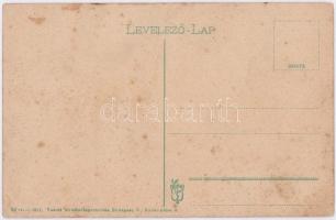 Eszék, Essegg, Osijek; látkép. Vasúti levelezőlapárusítás 28. sz. 1917. / general view (EB)