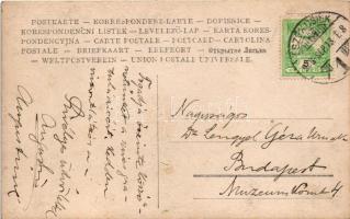 1908 Eszék, Essegg, Osijek; utca, zsinagóga, gyógyszertár (drogéria), üzletek. Szecessziós-virágos m...