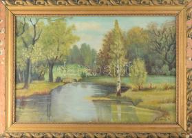 K Spányi B jelzéssel: Táj. Olaj, vászon. Dekoratív, sérült fakeretben. 40×59,5 cm