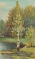 K Spányi B jelzéssel: Táj. Olaj, vászon. Dekoratív, sérült fakeretben. 40×59,5 cm