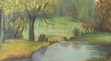 K Spányi B jelzéssel: Táj. Olaj, vászon. Dekoratív, sérült fakeretben. 40×59,5 cm