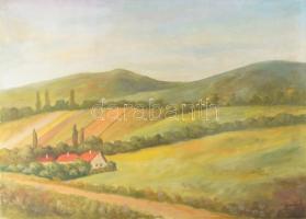 Jándi D jelzéssel: Táj. Olaj, vászon. 50×69,5 cm