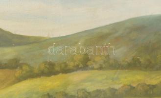 Jándi D jelzéssel: Táj. Olaj, vászon. 50×69,5 cm