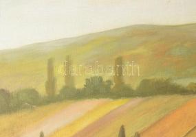Jándi D jelzéssel: Táj. Olaj, vászon. 50×69,5 cm