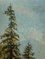 Mednyánszky jelzéssel: Hegyvidéki táj. Olaj, vászon. 31×24,5 cm