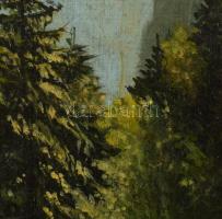 Mednyánszky jelzéssel: Hegyvidéki táj. Olaj, vászon. 31×24,5 cm