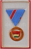 1970. "KISZ - Hűség a Néphez Hűség a Párthoz" műgyantás kitüntetés mellszalagon, miniatűrr...