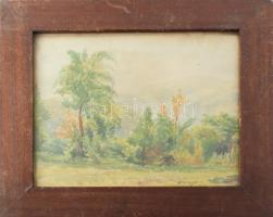 Olvashatatlan (Szinyei?) jelzéssel: Táj. Akvarell, papír, üvegezett fakeretben, paszpartu jobb alsó sarkába ázásnyommal, 24×31 cm