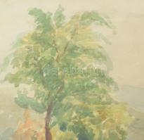 Olvashatatlan (Szinyei?) jelzéssel: Táj. Akvarell, papír, üvegezett fakeretben, paszpartu jobb alsó ...