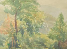 Olvashatatlan (Szinyei?) jelzéssel: Táj. Akvarell, papír, üvegezett fakeretben, paszpartu jobb alsó ...