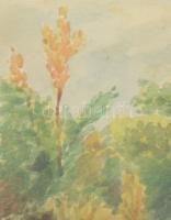 Olvashatatlan (Szinyei?) jelzéssel: Táj. Akvarell, papír, üvegezett fakeretben, paszpartu jobb alsó ...