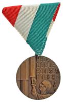 1975. "Pedagógus Szolgálati Emlékérem 1974" bronz kitüntetés mellszalagon, nem saját tokban (34mm) T:AU NMK 714