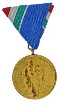 1954. "1954. évi Dunai Árvízvédelemért" aranyozott bronz kitüntetés mellszalagon T:AU