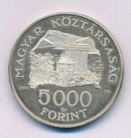 2004. 5000Ft Ag "Visegrádi vár" T:AU (eredetileg PP) patina Adamo EM192
