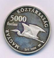 2006. 5000Ft Ag "Fertő kultúrtáj" T:AU (eredetileg PP) patina Adamo EM203