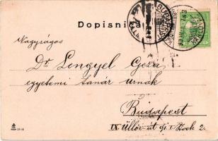 1909 Károlyváros, Karlovac; Kupaliste na Korani / fürdő / spa, bathhouse (EK)