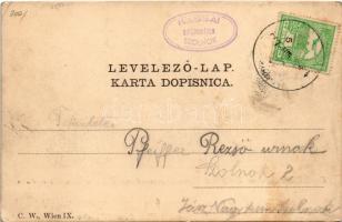 1907 Fiume, Rijeka; Grad Trsat / Castello di Tersatto / Schloss Tersatto / castle. Giuseppe Chesani ...