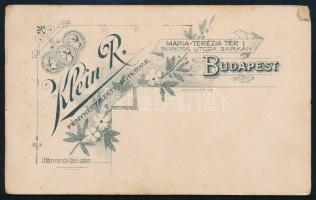 cca 1900 Elegáns fiatalember portréja, vizitkártya Klein R. budapesti (Mária Terézia tér 1.) műtermé...