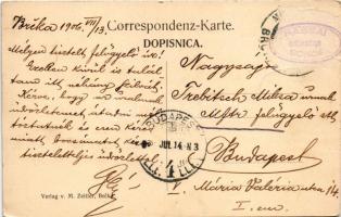 1906 Brcko, Brcka; Hauptplatz mit Hotel Posavina / main square, hotel. M. Zeitler Art Nouveau, flora...