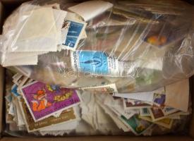 0,5 kg áztatott bélyeg, ömlesztve zacskóban