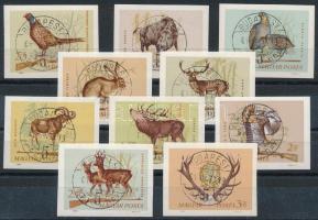 1964 Vadász vágott sor