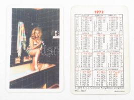 12 db erotikus reklámos kártyanaptár