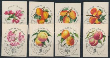 1964 Magyar barackfajták vágott sor