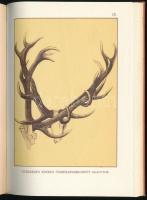 Balkay Rudolf: A szarvas és vadászata. 27 színes rajzzal. Bp., 1982., MTI. Az 1903-ban, az Athenaeum...