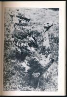 Fodor-Nagy-Sterbetz: A túzok. Bp., 1971, Mezőgazdasági. Kiadói papírkötés, papír védőborítóval, jó á...