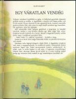 Durrell, Gerald: Léghajóval a világ körül. Graham Percy rajzaival. Bp., 1990, Park. 1. kiadás. Kiadó...