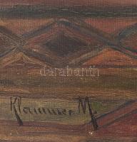 Klammer Mariska (1877-?): Enteriőr. Olaj, vászon, jelezve balra lent. 55x68 cm. Dekoratív fakeretben