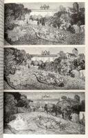 Stefan Koldehoff: Van Gogh. Mythos und Wirklichkeit. Köln, 2003, DuMont. Fekete-fehér és színes képe...