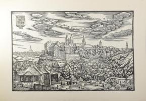 Varga Mátyás (1910-2002): Veszprém, 1975. Fametszet, papír, jelzett a metszeten, 46×66 cm
