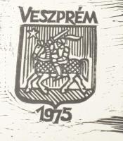 Varga Mátyás (1910-2002): Veszprém, 1975. Fametszet, papír, jelzett a metszeten, 46×66 cm
