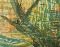 Varga Mátyás (1910-2002): Balatoni naplemente, 1965. Monotípia, papír, jelzett, paszpartuban, 38×28 ...