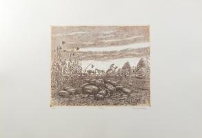 Varga Mátyás (1910-2002): Ősz, 1979. Rézkarc, papír, jelzett, számozott (55/100), 24,5×29,5 cm